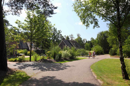 010 Comfortabel 6 persoons vakantiehuis met ruim terras op een vakantiepark in Drenthe