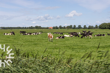 009 Bosrijke 6 tot 12 persoons vakantiewoning met geitjes en speeltoestel in Koekange