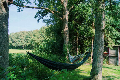 031 Mooi gelegen 4 persoons vakantiehuis in de Drentse bossen