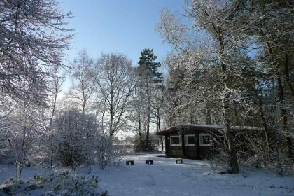 001 Vier persoons Finse bungalow aan de rand van het bos