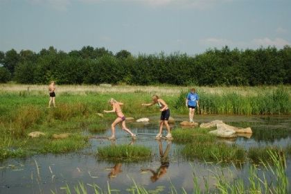 025 Vier persoons Finse bungalow aan de rand van het bos