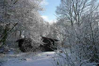 009 Zes persoons Finse bungalow aan de rand van het bos