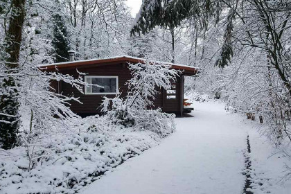 001 Zes tot zeven persoons Finse bungalow aan de rand van het bos