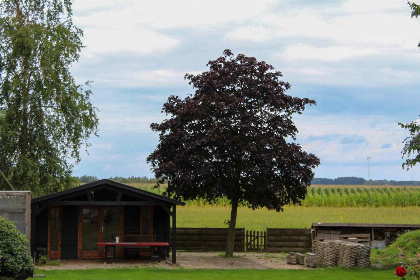 012 Prachtig gelegen driepersoons vakantiehuis in Nieuw Weerdinge, Drenthe