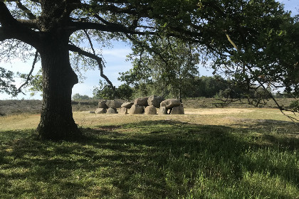 007 Modern ingericht 5 persoons vakantiehuis op een boerderij in Nijeveen, Drenthe