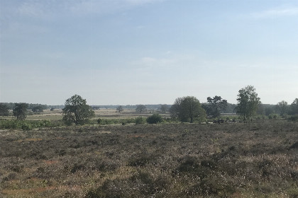 013 Modern ingericht 5 persoons vakantiehuis op een boerderij in Nijeveen, Drenthe