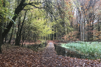 014 Modern ingericht 5 persoons vakantiehuis op een boerderij in Nijeveen, Drenthe