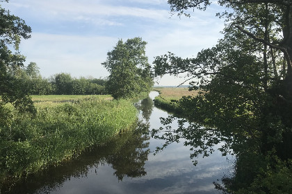 028 Modern ingericht 5 persoons vakantiehuis op een boerderij in Nijeveen, Drenthe