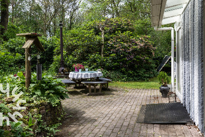 023 Bosrijk gelegen 4 persoons vakantiehuis met prachtige tuin en heerlijke serre, in Norg