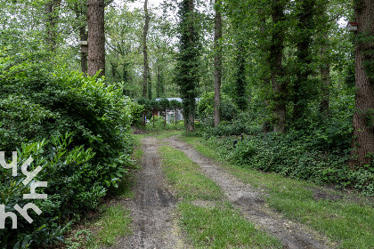 026 Bosrijk gelegen 4 persoons vakantiehuis met prachtige tuin en heerlijke serre, in Norg