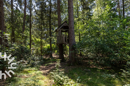 015 Comfortabel 5 persoons vakantiehuis in het bos bij Norg