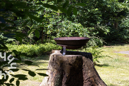 033 Comfortabel 5 persoons vakantiehuis in het bos bij Norg