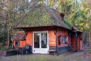 Karakteristiek vrijstaand 5 persoons vakantiehuis, bosrijk gelegen nabij Norg in Drenthe