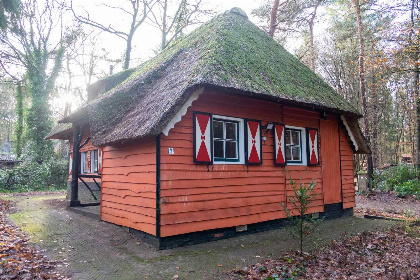 010 Karakteristiek vrijstaand 5 persoons vakantiehuis, bosrijk gelegen nabij Norg in Drenthe