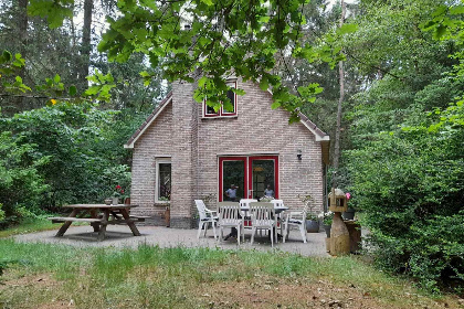 013 Mooi 6 persoons vakantiehuis in het bos bij Norg