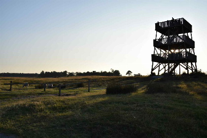 002 14 persoons groepsaccommodatie met 6 badkamers in Oude Willem, Drenthe