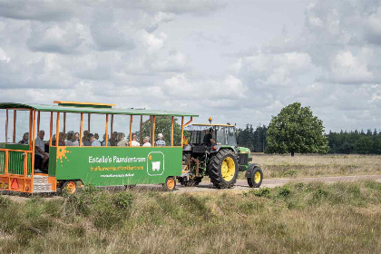 006 14 persoons groepsaccommodatie met 6 badkamers in Oude Willem, Drenthe