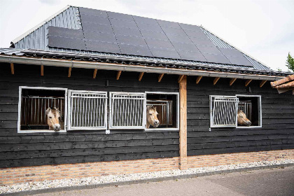 015 14 persoons groepsaccommodatie met 6 badkamers in Oude Willem, Drenthe