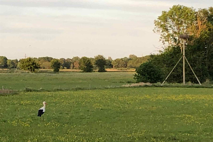 001 Schitterend gelegen 4 persoons fins vakantiehuisje in Roderwolde nabij Groningen