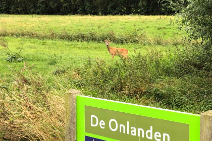 017 Schitterend gelegen 4 persoons fins vakantiehuisje in Roderwolde nabij Groningen