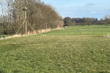 018 Schitterend gelegen 4 persoons fins vakantiehuisje in Roderwolde nabij Groningen