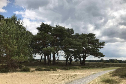 009 Prachtige 2 persoons vakantiewoning in voormalig politiebureau in Rolde