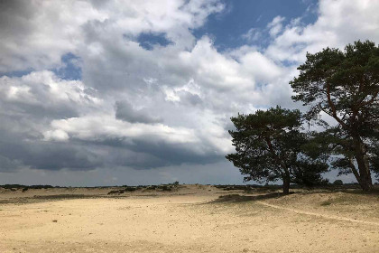 014 Prachtige 2 persoons vakantiewoning in voormalig politiebureau in Rolde