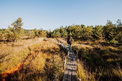 017 Boschborg Lodge | 4 personen