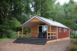 Een 4 persoons chalet tussen de groene omgeving van park De Wiltzangh