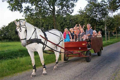 001 Gezellige vakantieboerderij voor 15 personen in Drenthe