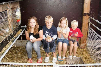 008 Gezellige vakantieboerderij voor 15 personen in Drenthe