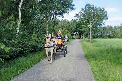 018 Gezellige vakantieboerderij voor 15 personen in Drenthe