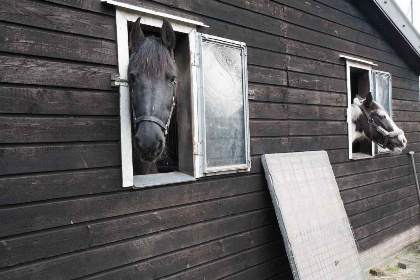 021 Gezellige vakantieboerderij voor 15 personen in Drenthe