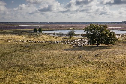 015 Groeneborg Lodge | 6 personen