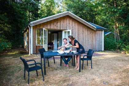 009 Slapen tussen de bomen: een knus 4 persoons vakantieverblijf in Drenthe!