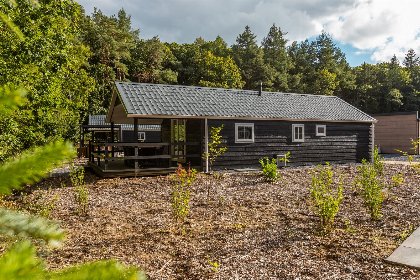 Nederland, Drenthe, Ruinen
