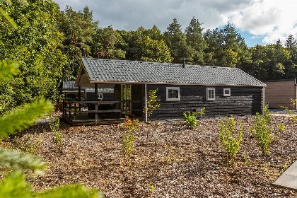 003 Veenborg Lodge met Hottub | 4 personen