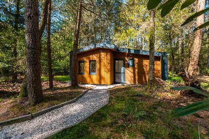 Nederland, Drenthe, Ruinen