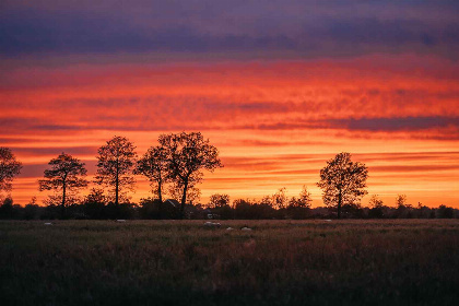 008 Gezellige 12 persoons groepsaccommodatie nabij Ruinerwold | Drenthe