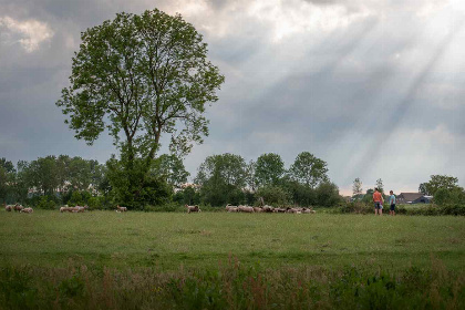 012 Gezellige 12 persoons groepsaccommodatie nabij Ruinerwold | Drenthe