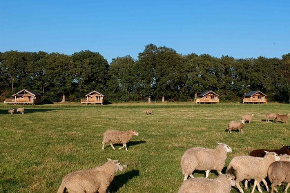 038 Gezellige 16 persoons groepsaccommodatie nabij Ruinerwold | Drenthe