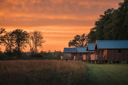 021 Knusse 4 persoons Lodges op een unieke locatie nabij Ruinerwold | Drenthe