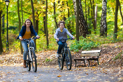 004 Gezellig 2 persoons vakantiewoning met prive terras in Schoonloo naast het bos