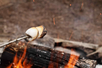 011 Gezellig 2 persoons vakantiewoning met prive terras in Schoonloo naast het bos