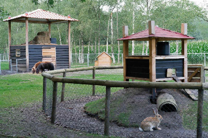 018 Mooi 12 persoons vakantiehuis midden in het bos in Drenthe met hottub