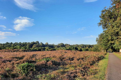 008 Prachtig vakantiehuis voor twee personen in Spier, Drenthe