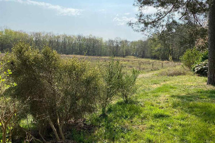 008 Sfeervolle 6 persoons bungalow met open haard in prachtig natuurgebied