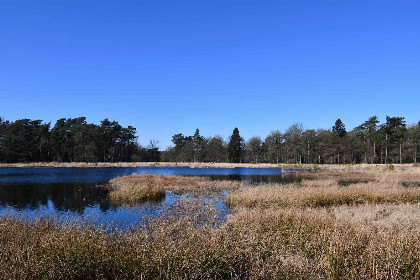 011 Sfeervolle 6 persoons bungalow met open haard in prachtig natuurgebied