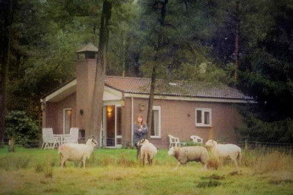 013 Sfeervolle 6 persoons bungalow met open haard in prachtig natuurgebied