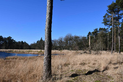 016 Sfeervolle 6 persoons bungalow met open haard in prachtig natuurgebied